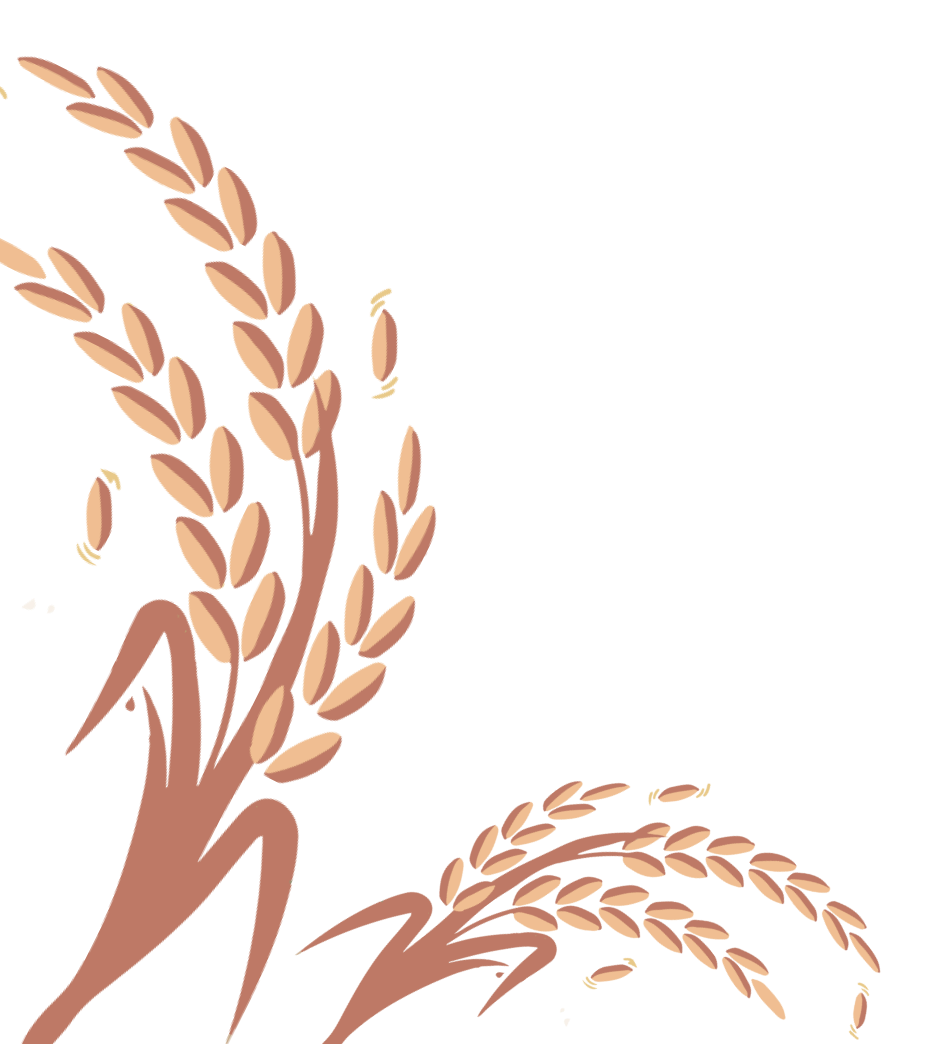 Decorative left background